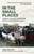 In the Small Places (Stories of Teacher Changemakers and the Power of Human Agency) by Fred Mednick, 9781803414829