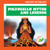 Polynesian Myths and Legends by Alyssa Krekelberg, Cesar Samaniego, 9798892137621