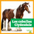 Los caballos Clydesdale (Clydesdale Horses) (Spanish Edition) by Rachel Grack, N/A, 9798896621454