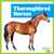Thoroughbred Horses - 9798892139540 - 9798892139540 by Rachel Grack, N/A, 9798892139540