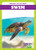 Swim - 9798892138291 by Jenna Lee Gleisner, 9798892138291
