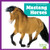 Mustang Horses - 9798892139496 by Rachel Grack, 9798892139496