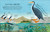Time to Explore Dinosaurs (With a Foldout Surprise!) by Andrea Mills, Tania García, 9798217134045