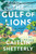 The Gulf of Lions (A Novel) by Caitlin Shetterly, 9780063421073