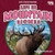 Life in Mountain Biomes by Jennifer Boothroyd, 9798895775721