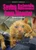 Saving Animals from Disaster (Stories of Survival) by Nathan Sommer, 9798895776513