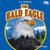 The Bald Eagle - 9798895777633 by Owen Hamlin, 9798895777633