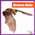 Brown Bats - 9798896621874 by Jenna Lee Gleisner