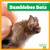 Bumblebee Bats by Jenna Lee Gleisner, 9798896621904