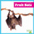 Fruit Bats by Lily Austen, 9798896621966