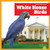 White House Birds by Lily Austen, 9798896622659