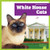 White House Cats by Lily Austen, 9798896622680