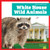 White House Wild Animals by Lily Austen, 9798896622772
