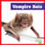 Vampire Bats - 9798896622031 by Jenna Lee Gleisner