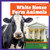 White House Farm Animals - 9798896622758 by Lily Austen, 9798896622758
