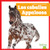 Los caballos Appaloosa (Appaloosa Horses) (Spanish Edition) by Rachel Grack, 9798896624240