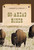 Go-Ahead Rider by Robert J. Conley, 9781590774083