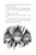 The Last Immortals: Dawn of the Axolotl by Kit Brooks, 9780316601856
