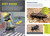 Bug Power (From Super Strength to Web Slinging; Learn About the Amazing Abilities of Bugs) by Stephanie A. Dole, 9781635869262