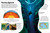 Eyewonder Volcanoes by DK, 9798217305742