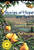 Stories of Hope and Spirit by Dan Keding, 9780874837278
