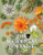 The Accidental Botanist (A Deconstructed Flower Book) by Robbie Honey, 9781908337771
