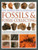 The World Encyclopedia of Fossils & Fossil-Collecting: by Steve Parker, 9781780193946