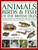 The Complete Illustrated Guide to Animals, Birds & Fish of the British Isles by Daniel Gilpin, 9781846815430