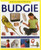 How To Look After Your Budgie (A Practical Guide To Caring For Your Pet, In Step-By-Step Photographs) by David Alderton, 9781861473264