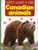 Let's Look & See (Canadian Animals) by Anness Publishing Ltd, 9781861473776