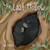 The Last Hollow by Ben Dessen, Tay Timoney, 9781760797652