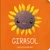 Girasol / Sunflower (Spanish Edition) by Ekaterina Ilchenko, Elena Busse, 9788409583959
