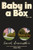 Baby in a Box (Stories) by Sarah Braunstein, 9781324051060