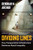 Dividing Lines (How Transportation Infrastructure Reinforces Racial Inequality) - 9781324130567 by Deborah N. Archer