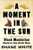 A Moment in the Sun (Black Manhattan Before the Civil War) by Shane White, 9781324095088