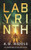 Labyrinth - 9781035924998 by A.G. Riddle
