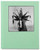 Las Pelilargas by Irina Werning, 9781805980162
