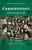 Counterstory, 2nd Edition (The Rhetoric and Writing of Critical Race Theory) by Aja Y. Martinez, 9780814102657