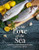 For The Love of the Sea (A Cook Book to Celebrate the British Seafood Community and Their Food) by Katie Fisher, Jenny Jefferies, 9781910863756