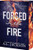 Forged in the Fire by A.L. Jackson, 9781682816608