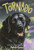 Tornado by Betsy Byars, Doron Ben-Ami, 9780064420631