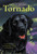 Tornado by Betsy Byars, Doron Ben-Ami, 9780064420631