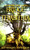 Bridge to Terabithia (A Newbery Award Winner) - 9780060734015 by Katherine Paterson, Donna Diamond