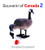 Souvenir of Canada 2 by Douglas Coupland, 9781553650430