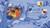 Indigo Hands - 9780593569740 by Sita Singh, Maithili Joshi