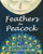 Feathers for Peacock by Jacqueline Jules, Helen Cann, 9781937786533