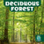 Deciduous Forest by Francie Dolan, 9781978577145