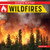 Wildfires - 9781978576810 by Jack Williams