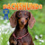 Dachshunds - 9781978576698 by Dan Lopez, 9781978576698