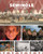 Seminole History and Culture - 9781502676580 by Mark Stewart